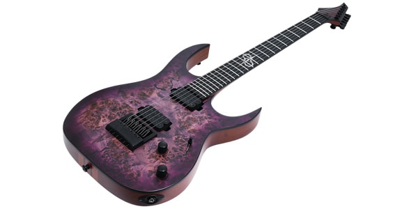 SOLAR GUITARS / S1.6PP画像2