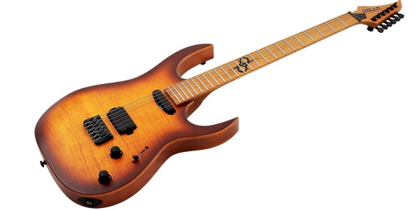 SOLAR GUITARS / SB1.6HFSB画像2