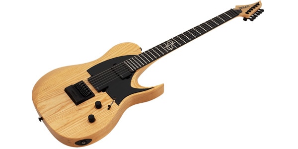 SOLAR GUITARS / T1.6A-NAT画像2