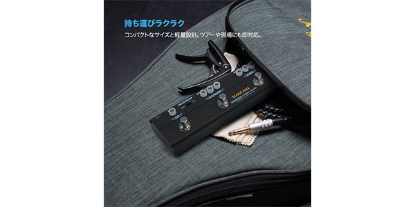 SONICAKE / Twiggy Blues画像6