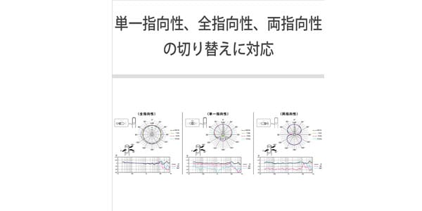 SONY / C-100 Recording microphone画像10