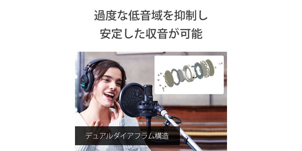 SONY ( ソニー ) C-80 送料無料 | サウンドハウス