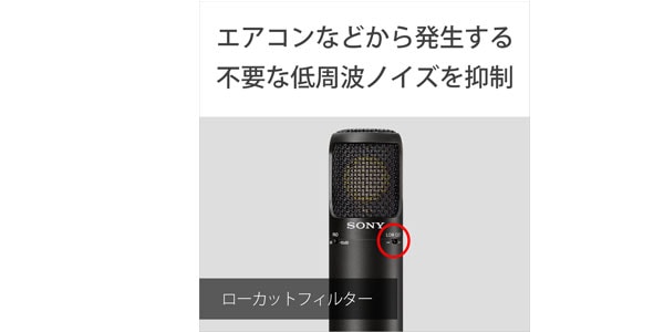 SONY / C-80画像6