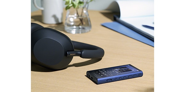 SONY / NW-A306 HC Gray Portable Audio Player画像5