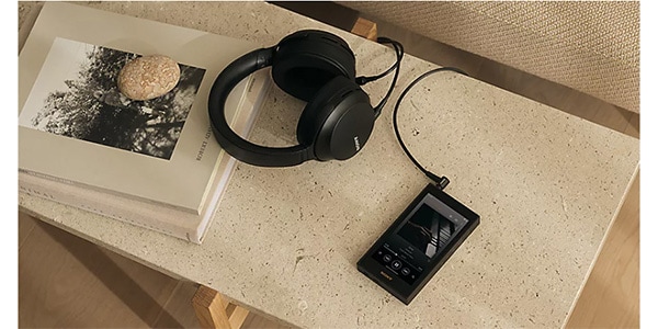 Sony ( ソニー )  / NW-ZX900画像7