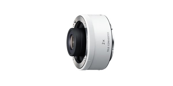 SONY ( ソニー )  / SEL20TC  Q