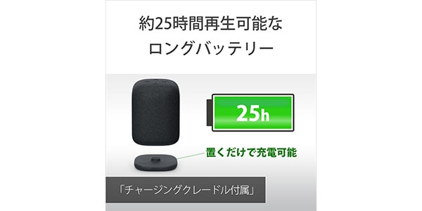 SONY / SRS-LS1 HC画像12
