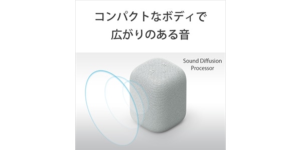 SONY / SRS-LS1 HC画像15