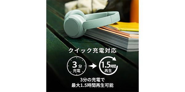 Sony ( ソニー )  / WH-CH530 BZ ブラック画像14
