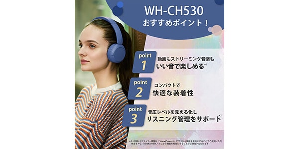 Sony ( ソニー )  / WH-CH530 PZ ピンク画像6