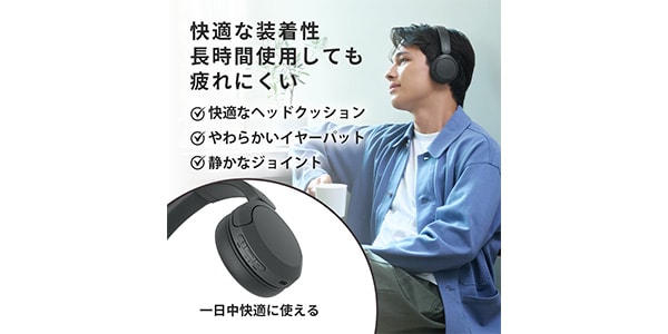 Sony ( ソニー )  / WH-CH530 PZ ピンク画像9