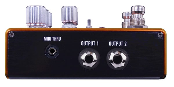 SOURCE AUDIO ( ソースオーディオ )  / SA281 PATHWAYS Reverb + Tremolo画像3