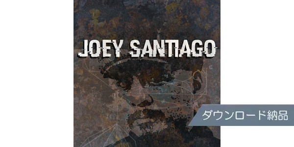 SPITFIRE AUDIO / JOEY SANTIAGO GUITARS ダウンロード納品