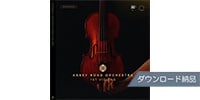 SPITFIRE AUDIO ABBEY ROAD ORCHESTRA: 1ST VIOLINS PRO ダウンロード納品