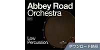 SPITFIRE AUDIO / ABBEY ROAD ORCHESTRA: LOW PERCUSSION CORE