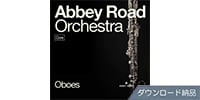 SPITFIRE AUDIO / ABBEY ROAD ORCHESTRA: OBOES CORE