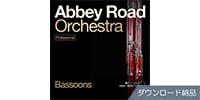 SPITFIRE AUDIO / Abbey Road Orchestra: Bassoons Professional