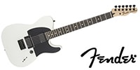 FENDER Jim Root Telecaster Flat White