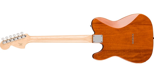 SQUIER ( スクワイヤ )  / Paranormal Esquire Deluxe Maple FB Black Pickguard Mocha画像2