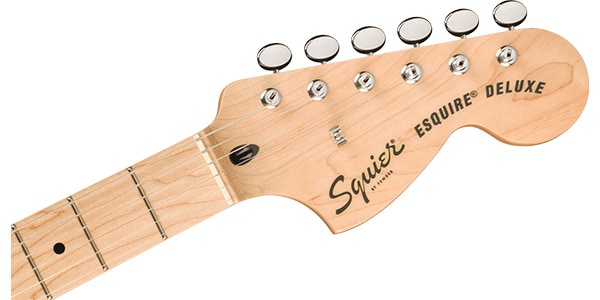 SQUIER ( スクワイヤ )  / Paranormal Esquire Deluxe Maple FB Black Pickguard Mocha画像5