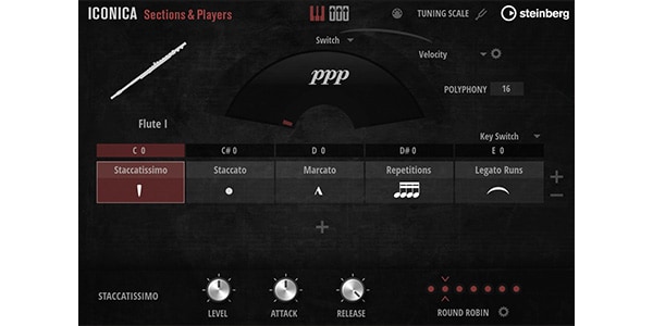 STEINBERG / Iconica Sections & Players Download Delivery画像2