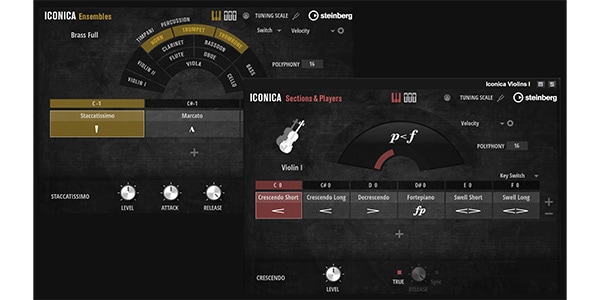 STEINBERG / Iconica Opus download delivery画像2