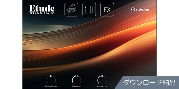 STEINBERG / Etude download delivery