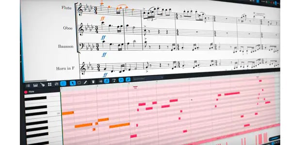 STEINBERG / 	DORICO Elements Standard Edition Music notation software 画像2