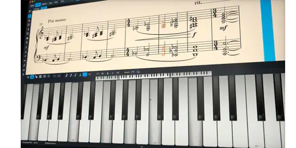 STEINBERG / 	DORICO Elements Standard Edition Music notation software 画像3