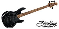 STERLING RAY34ASH Black