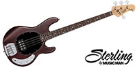 STERLING RAY4 Walnut Satin