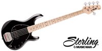 STERLING RAY5 Black