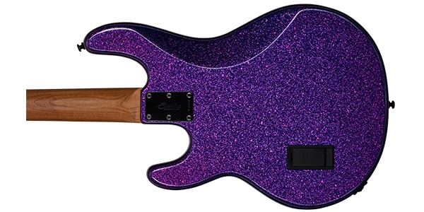 STERLING ( スターリン )  / ST-RAY34-PSK-R2Purple Sparkle画像6