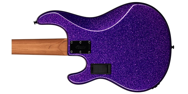 STERLING ( スターリン )  / ST-RAY35-PSK-R2Purple Sparkle画像6