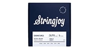 Stringjoy / SJ-BVI2695