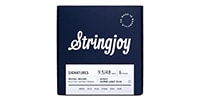 Stringjoy / SJ-HSK95