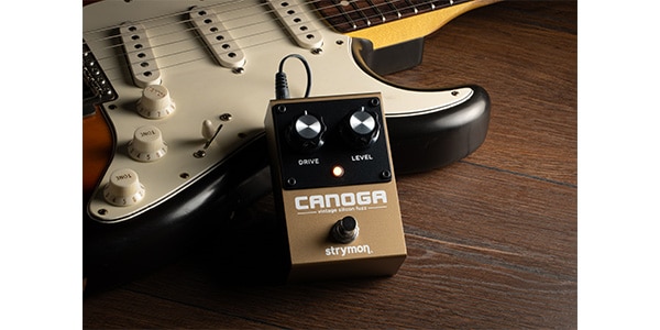 STRYMON ( ストライモン )  / CANOGA ファズ画像4