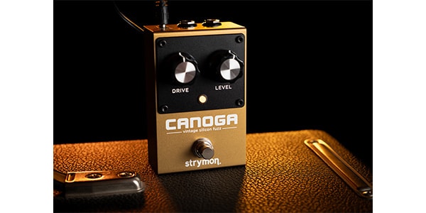 STRYMON ( ストライモン )  / CANOGA ファズ画像5