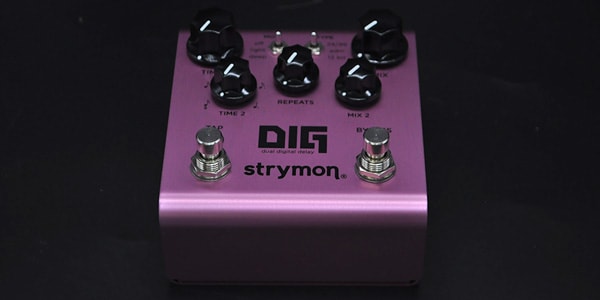 STRYMON ( ストライモン ) DIG 送料無料 | サウンドハウス