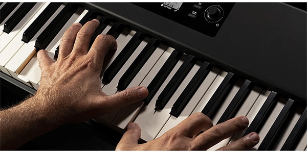 Studiologic ( スタジオロジック )  / SL88 GT MK2 MIDIキーボード画像4