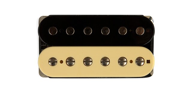 SUHR ( サー )  / Woodbucker Neck Reverse Zebra