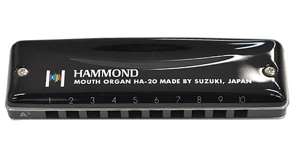 SUZUKI/HAMMOND HA-20 10ホールズハーモニカ/A Flat