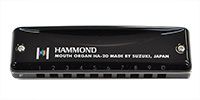 SUZUKI / HAMMOND HA-20 10-hole harmonica F