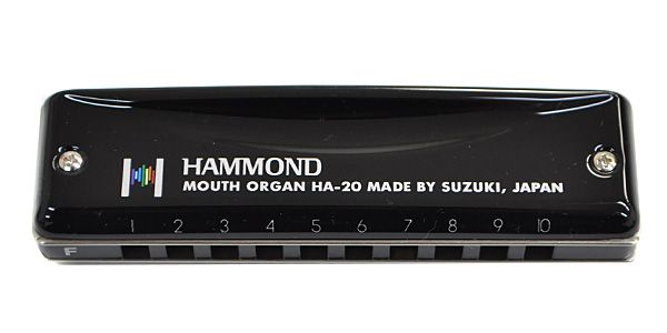 SUZUKI/HAMMOND HA-20 10ホールズハーモニカ/F#