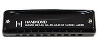 SUZUKI / 	HAMMOND HA-20 10-hole harmonica G