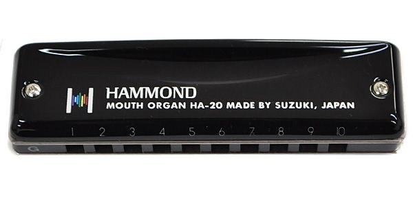 SUZUKI/HAMMOND HA-20 10ホールズハーモニカ/Low F