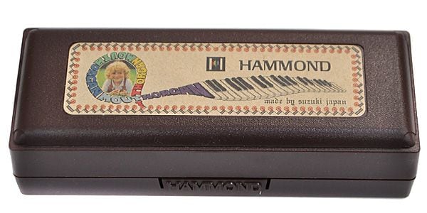 SUZUKI / HAMMOND HA-20 10ホールズハーモニカ Hi-G 画像4