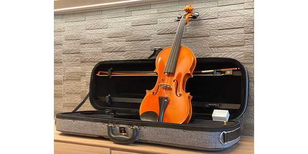 No.300 4/4 OUTFIT VIOLIN SET