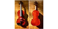SUZUKI VIOLIN / NO51014