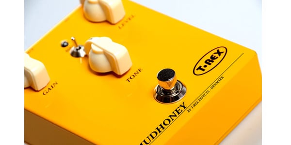 T-REX ( ティーレックス )  / Mudhoney DK 画像3